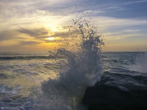 Windansea Beach — San Diego