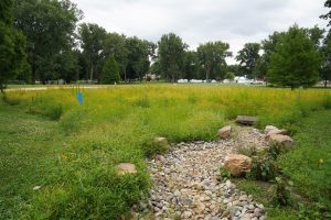 Akron Parks Expand Native Meadows