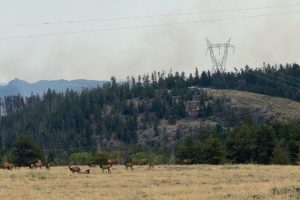 Albany County Fish Creek Fire Evacuations Lifted