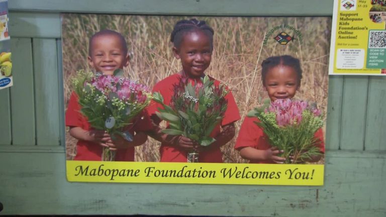 Apex Yard Sale Supports Africa