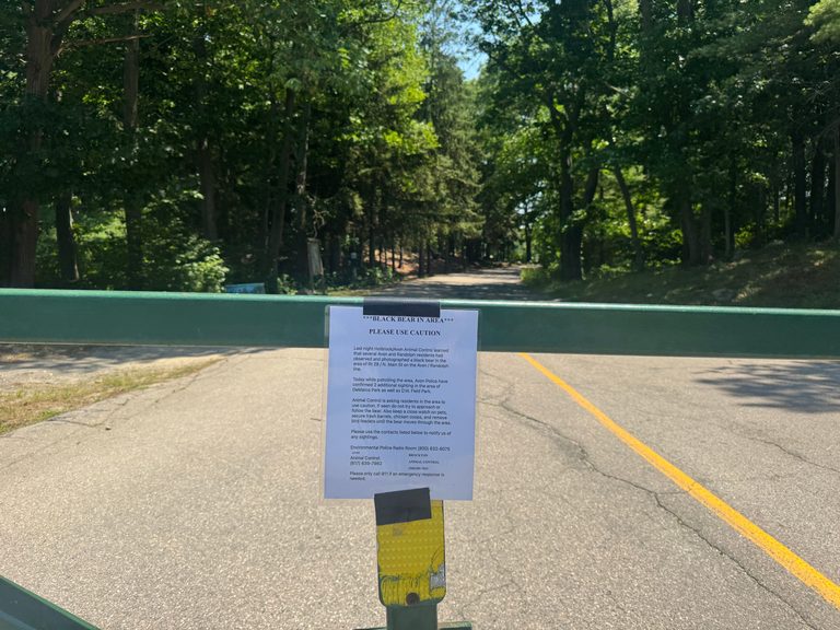 Avon Park Closed Due To Bear Sightings