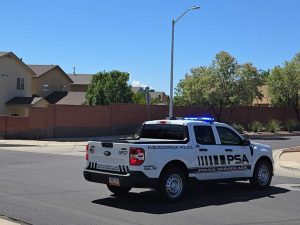 Bear Captured In Northwest Albuquerque