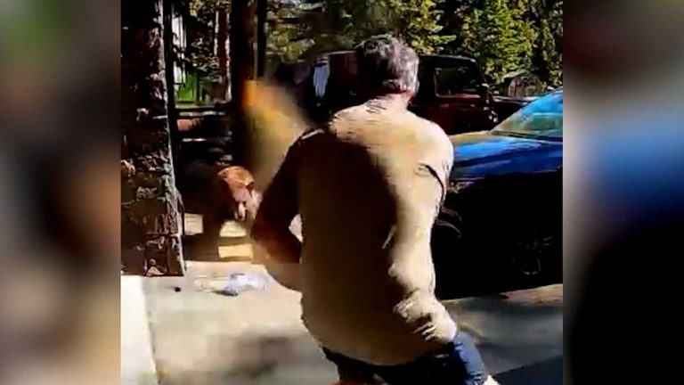 Bear Charges At Man Outside Lake Tahoe Vacation Home