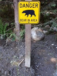 Bear Dies In Clayton New Mexico