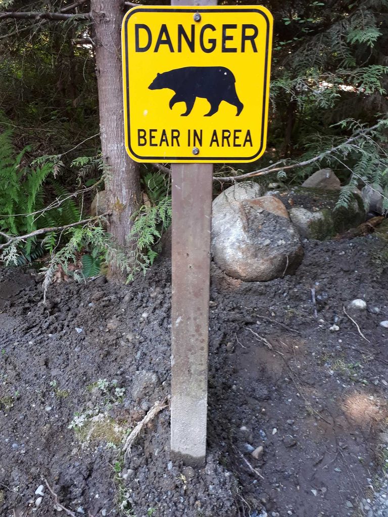 Bear Dies In Clayton New Mexico
