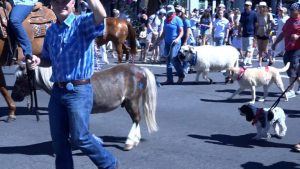 Bend S 4Th Of July Pet Parade Continues Century Old Tradition