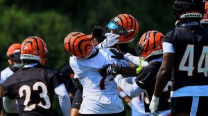 Bengals Training Camp Erupts In Fight