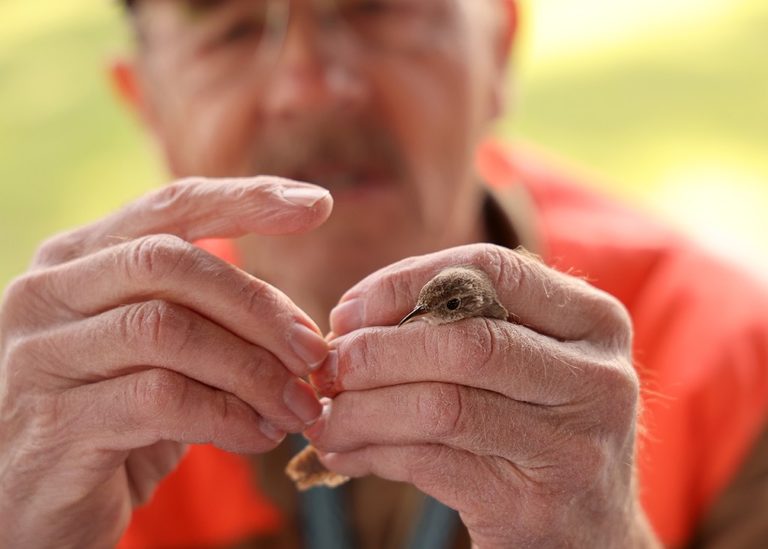 Birders Flock To Ekw State Park