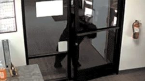 Black Bear Enters California Water District Office