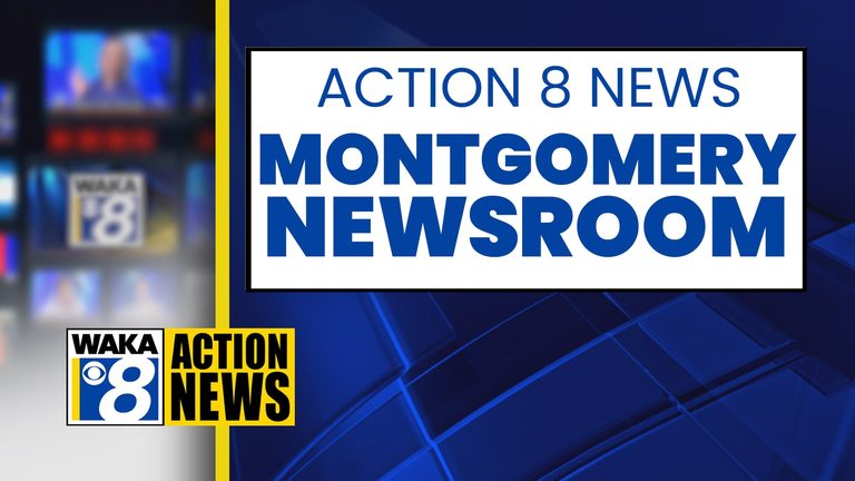 Black Bear Spotted In Montgomery