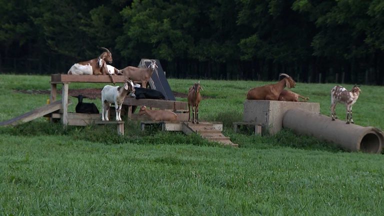 Blackacre Conservancy Expands