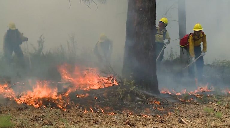 Blm Enforces Fire Restrictions