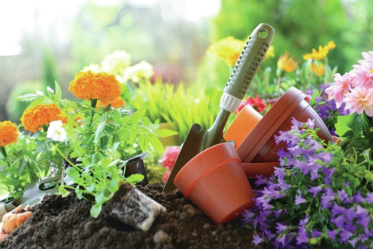 Bowie County Master Gardeners Training