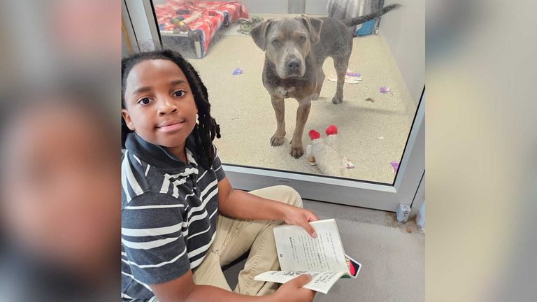 Boy Reads To Shelter Pets