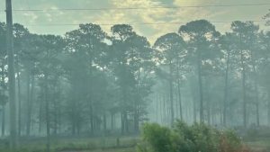 Brunswick County Wildfire 55 Contained