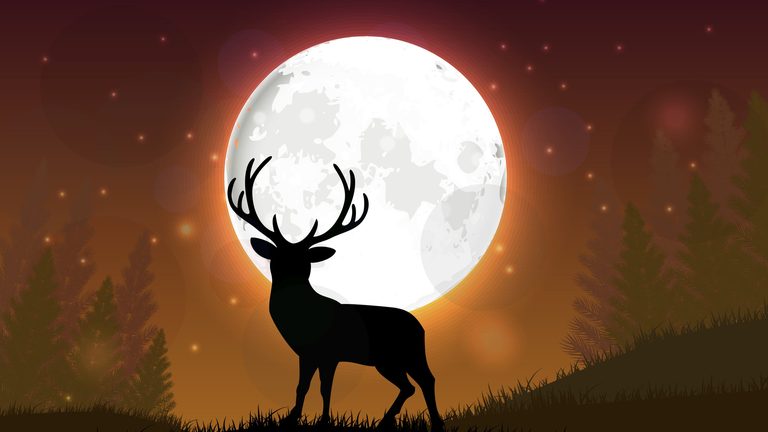 Buck Moon Dazzles Night Sky
