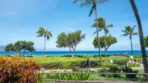 California Family Attacked At Maui Resort