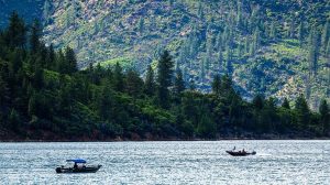 California Forest Service Workers Kidnapped