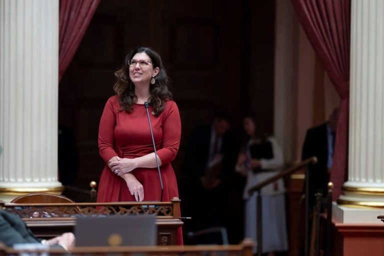 California Senator Megan Dahle