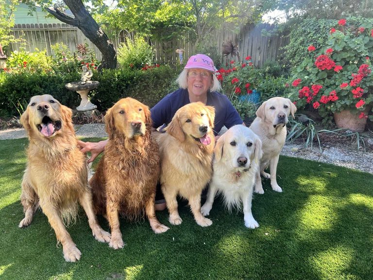 California Woman Loses Service Dog