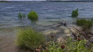 Canyon Lake Water Quality Concerns