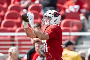 Cardinals Te Travis Vokolek Retires Due To Neck Injury