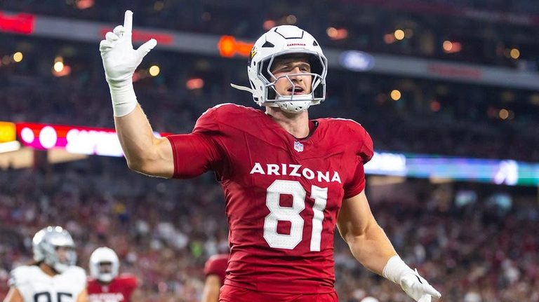 Cardinals Travis Vokolek Retires At 28