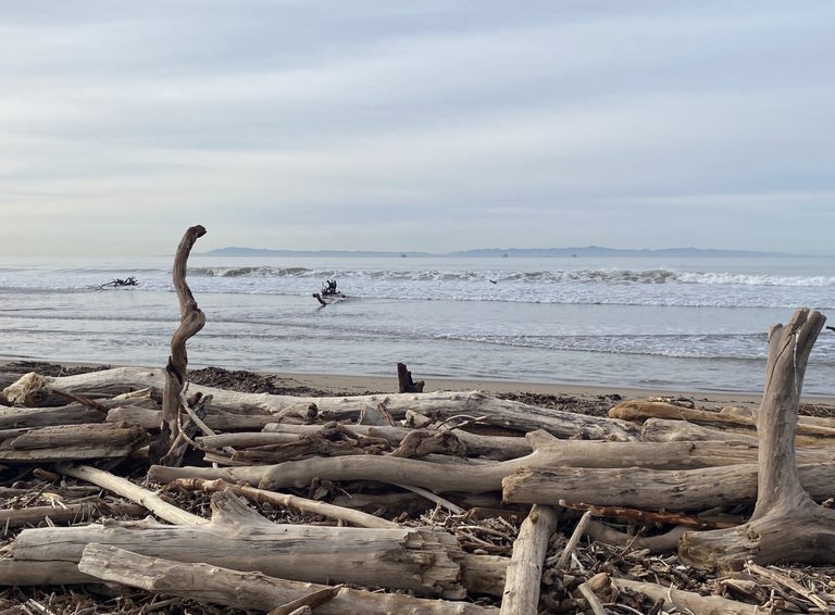 Carpinteria Teen Leads Year Round Beach Clean Up