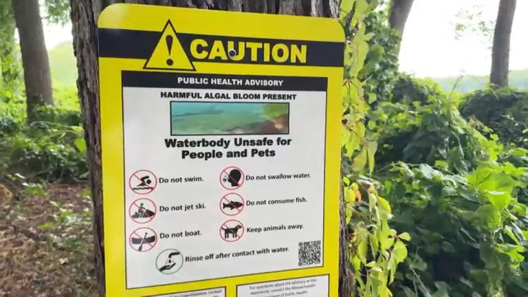 Charles River Algae Bloom Warning