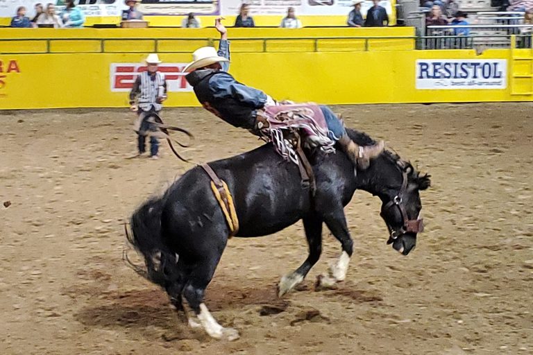 Cheyenne Frontier Days