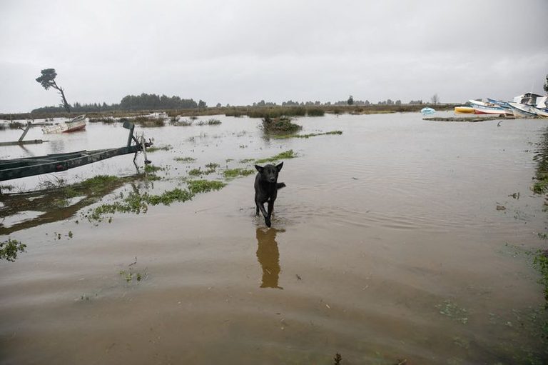 Chile Storms Kill Three