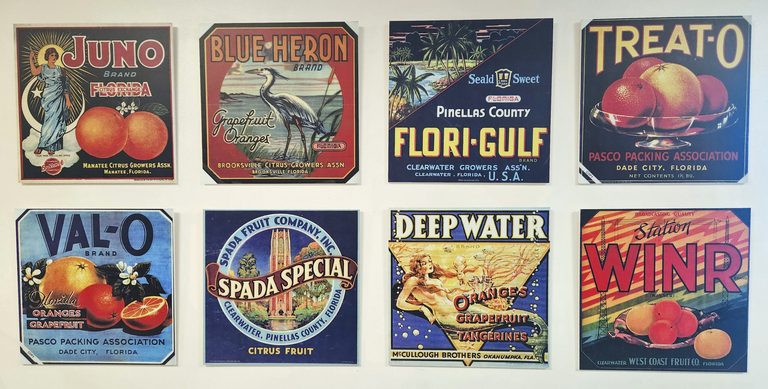 Citrus Art Show At St Pete Airport