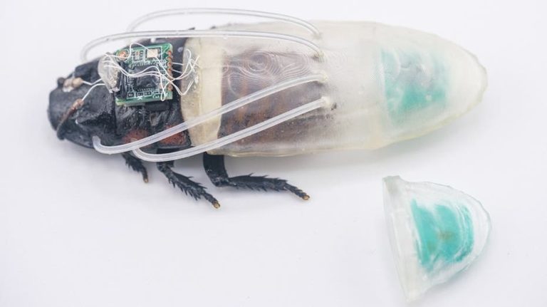 Cockroach Rescue Robots