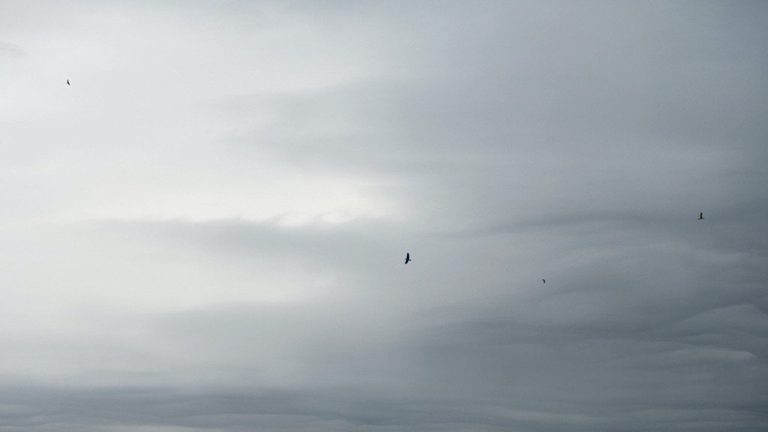 Coldest Julys In Texas