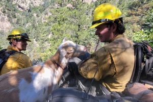 Colorado Firefighters Get Moral Support