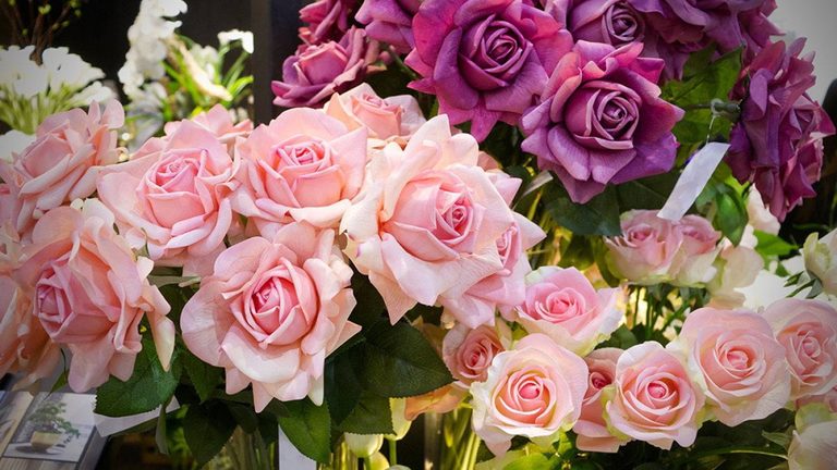 Colorado Mother S Day Gift Trends