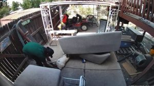 Colorado Springs Dog Stolen