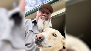 Colorado Springs Dog Stolen Returned Home