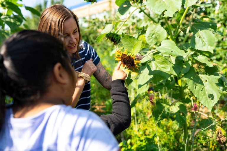 Columbia Heights Students Find Healing At Summer School Garden