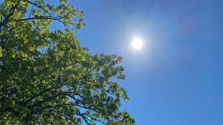 Connecticut Activates Heat Protocol