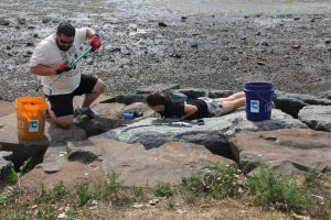 Connecticut Beach Cleanup Initiative