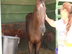 Crooked River Roundup Returns