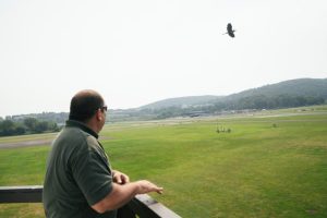 Ct Airport Works To Prevent Wildlife Strikes