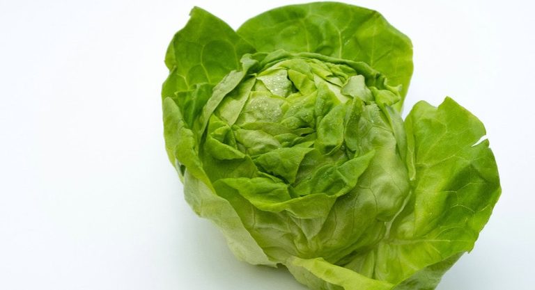 Cyclospora Outbreak Expands To 9 States