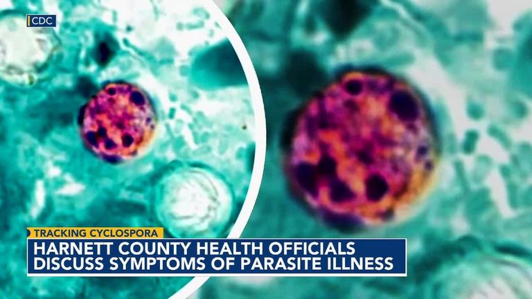 Cyclospora Outbreak In Nc