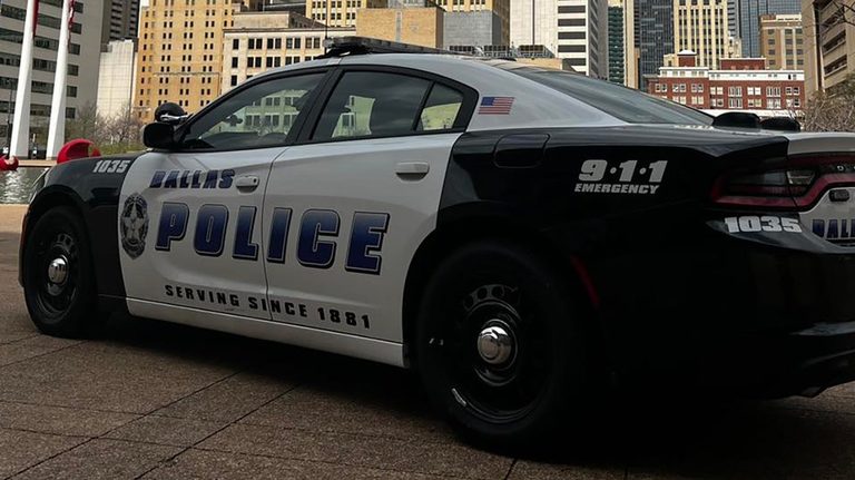 Dallas Rescue