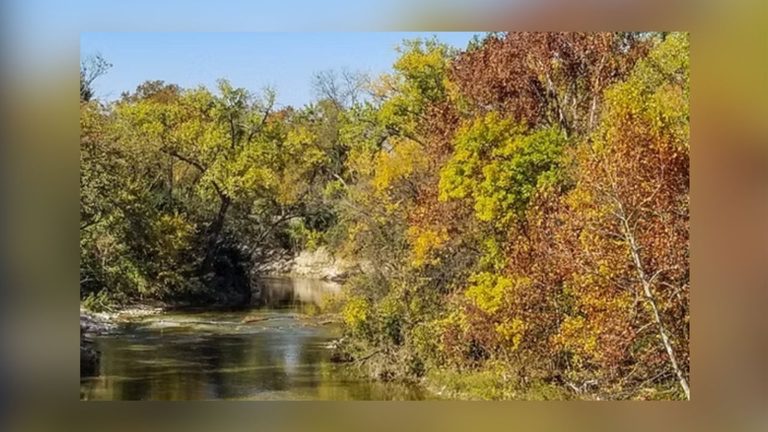 Dallas Woman Rescued