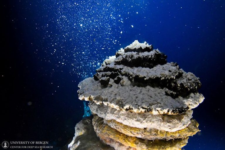 Deep Sea Mining Threatens Molluscs