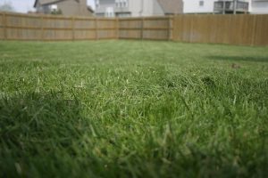 Delaware County Man Dies In Lawn Mower Accident