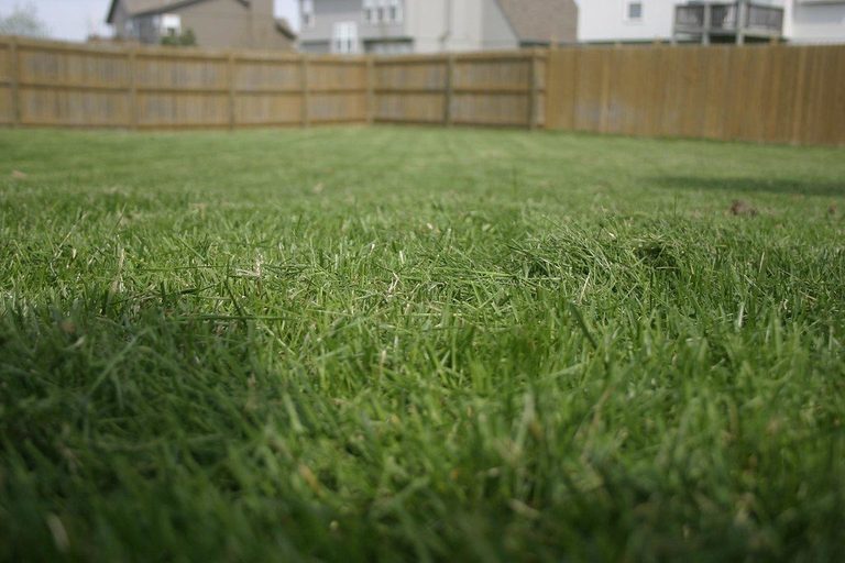 Delaware County Man Dies In Lawn Mower Accident